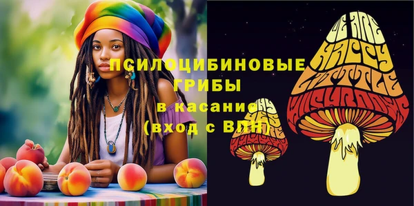 стафф Балахна