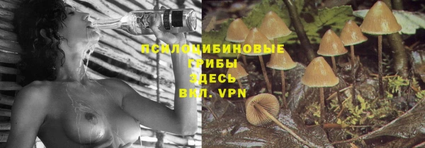 стафф Балахна