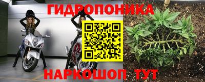 ALPHA PVP Кандалакша