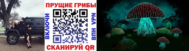 Псилоцибиновые грибы ЛСД  ссылка на мегу   Унеча 