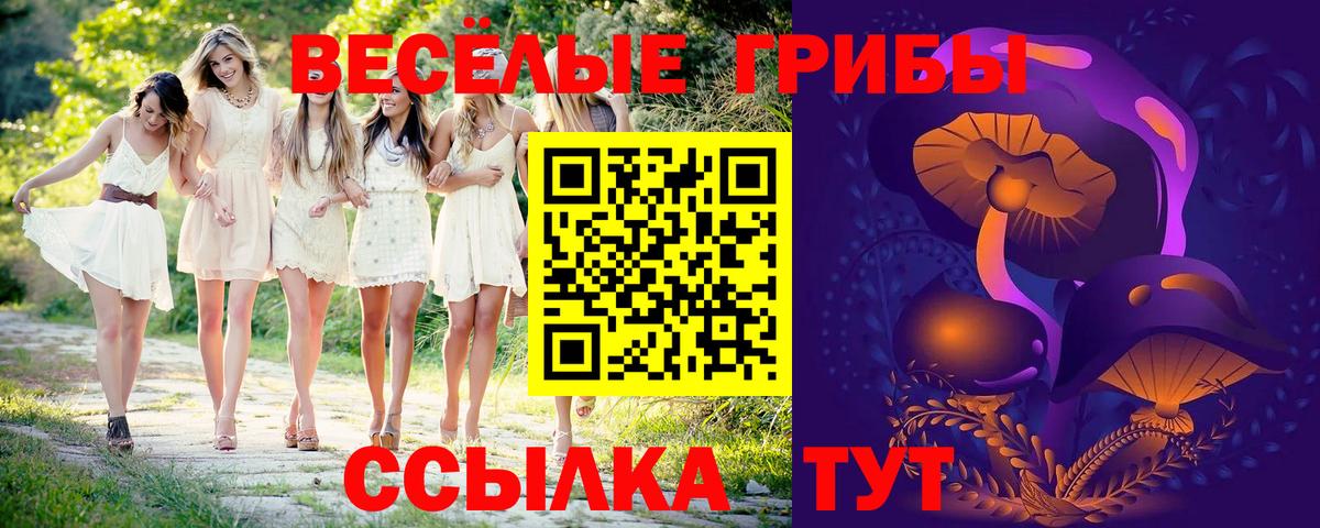 Псилоцибиновые грибы Magic Shrooms  Вход с VPN  Галлюциногенные грибы Cubensis  Унеча 
